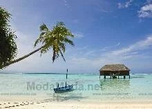 Damat’tan Maldivler’de bir hafta balayı
